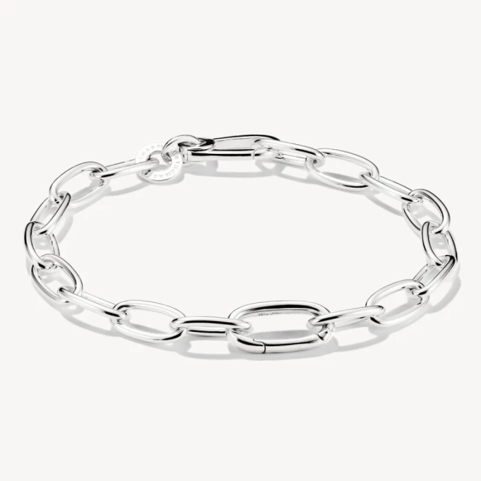 Pulsera Charm con un Connect Link plata