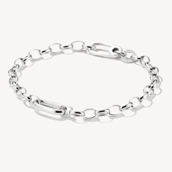 Pulsera Charm con un Connect Link plata