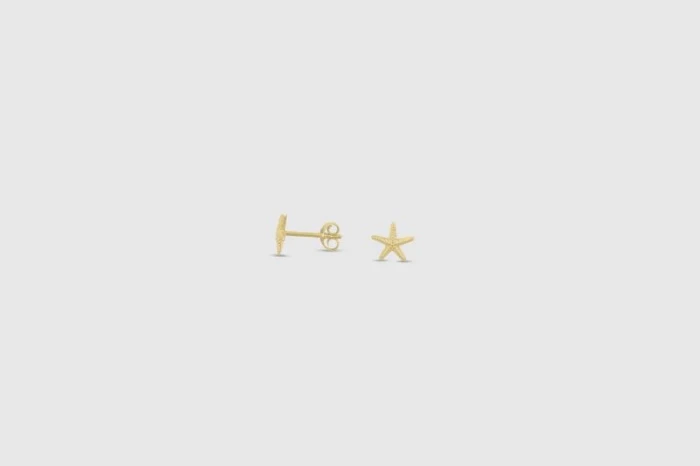 PENDIENTES ESTRELLA DE MAR