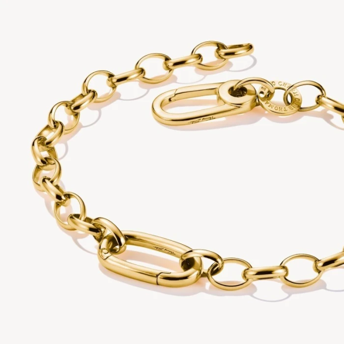 Pulsera Charm con un Connect Link baño de oro