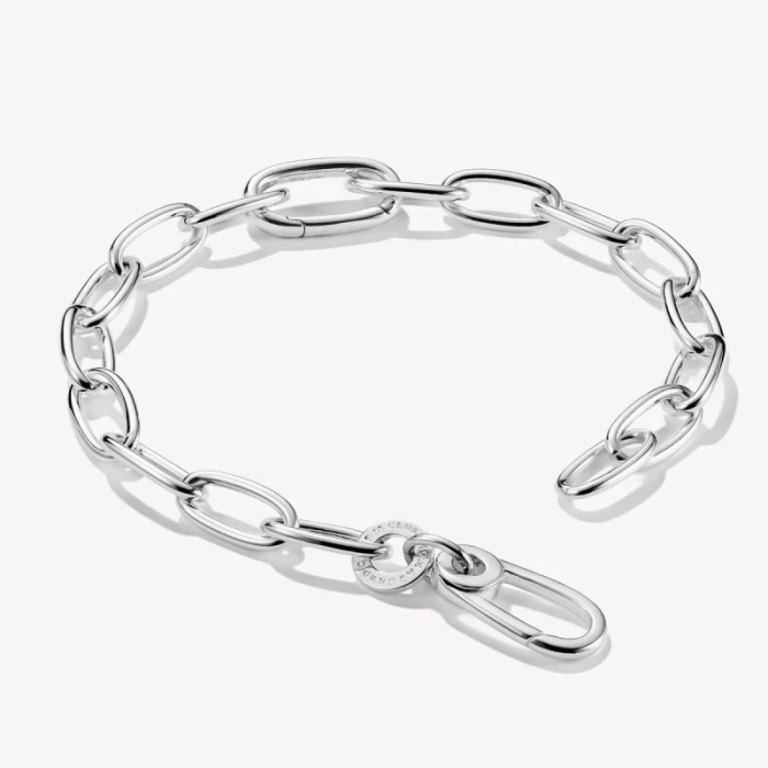 Pulsera Charm con un Connect Link plata
