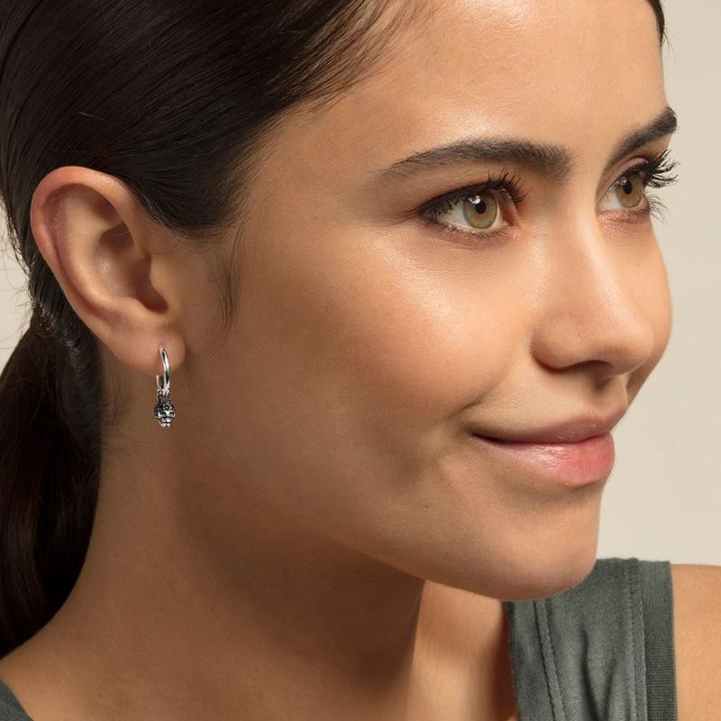 AROS PLATA