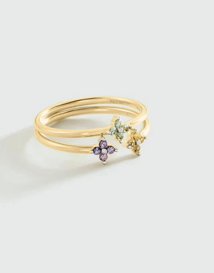 Anillo fino BELOVED TALLA 52