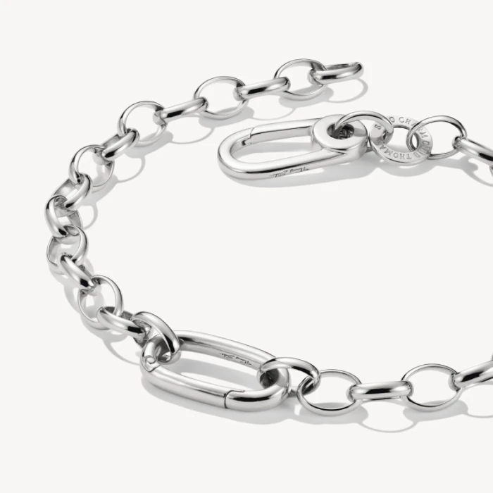 Pulsera Charm con un Connect Link plata