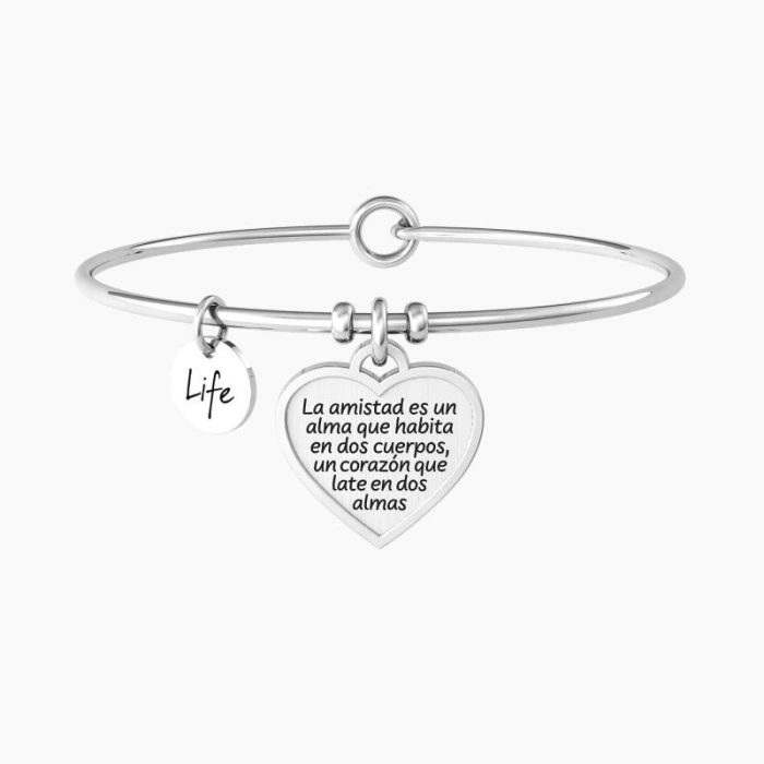 PULSERA LA AMISTAD ES UN ALMA - ARISTOTELES
