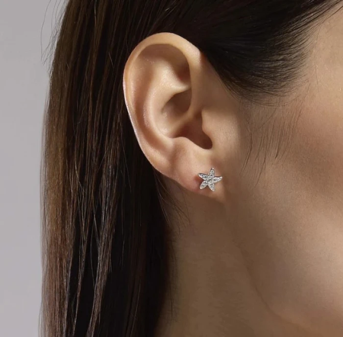 Pendientes de estrella de mar plateada y circonitas