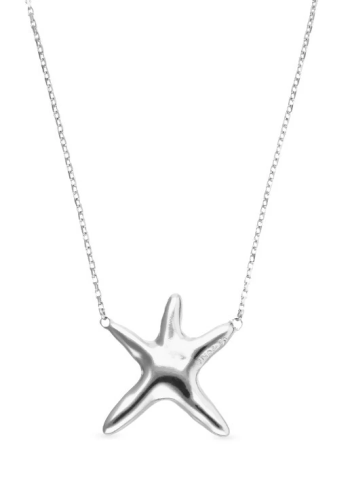 Collar medio bañado en plata con estrella de mar