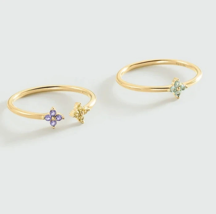 Anillo fino BELOVED TALLA 52
