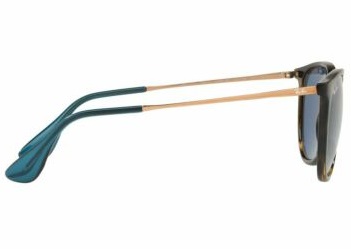 Gafas de sol Ray-Ban RB4171 ERIKA 639080 HAVANA Gafas de sol Ray-Ban RB4171 ERIKA 639080 HAVANA