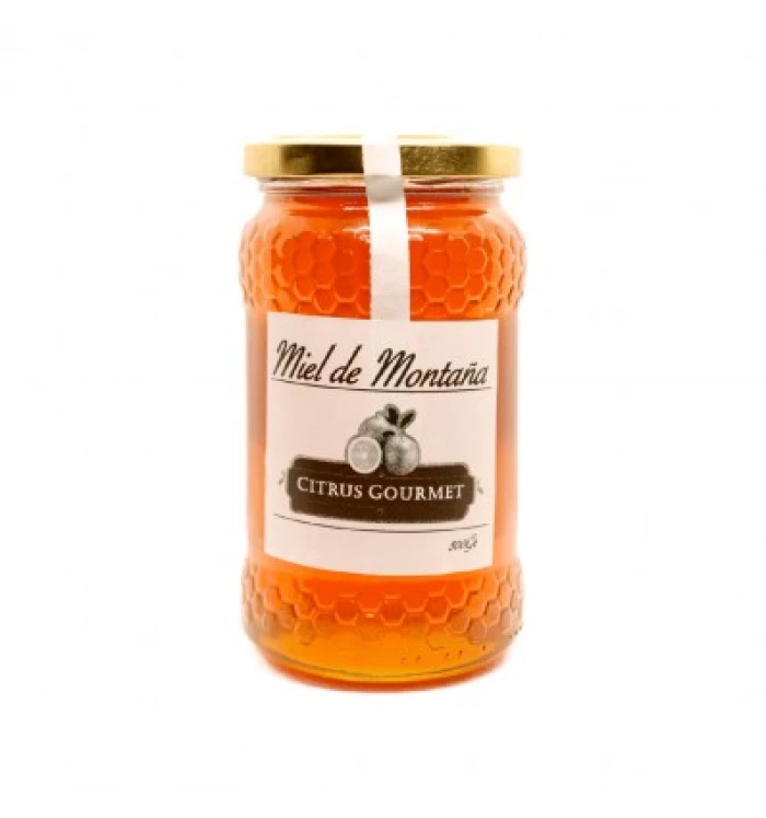 TARRO MIEL DE MONTAÑA 500GR