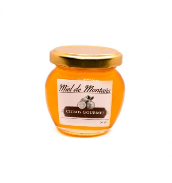 TARRO MIEL DE MONTAÑA 100GR